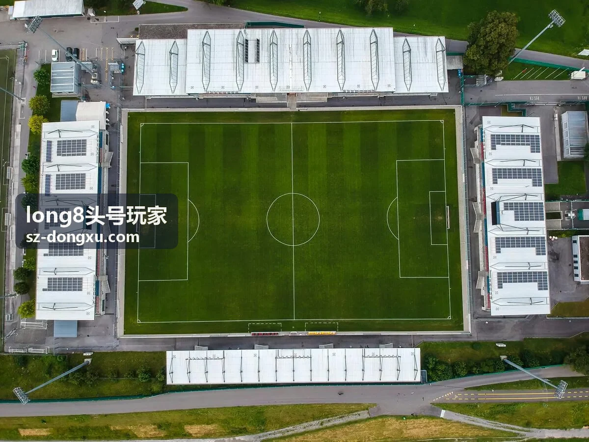 long8头号玩家数据引擎